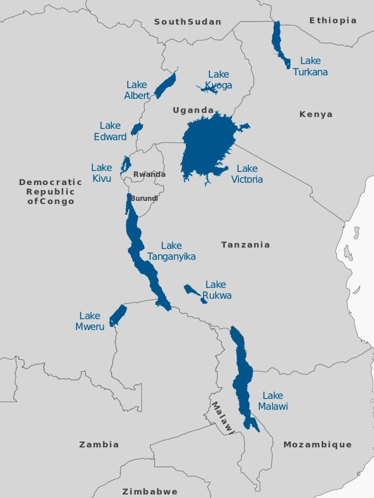 Africa Presence